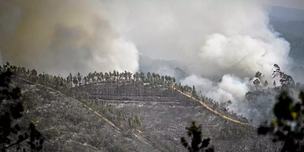 Canicule : l’Espagne de nouveau frappée, le Portugal espère une accalmie face aux incendies