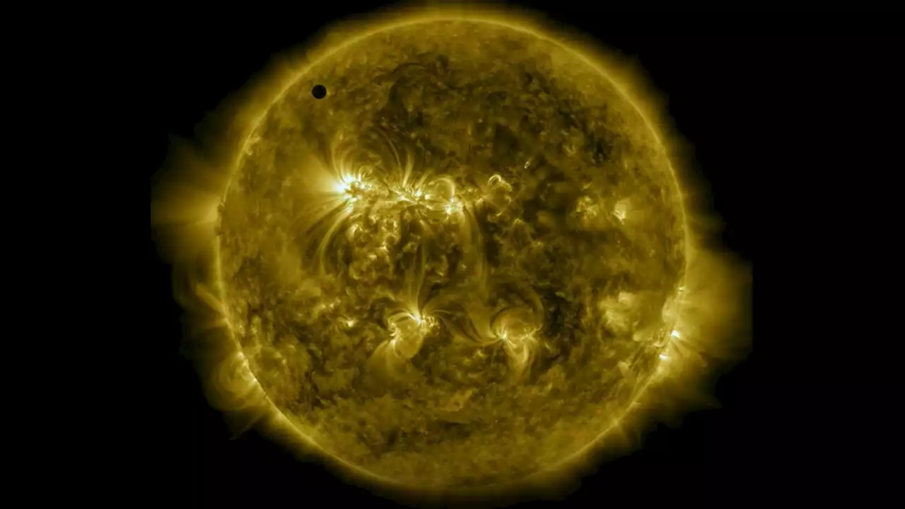 15 Dazzling Images of the Sun