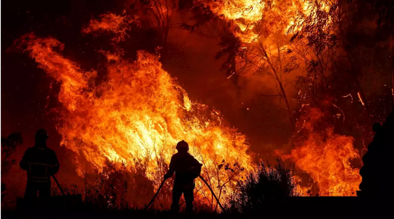 Incendi in Portogallo, oltre mille pompieri al lavoro e 1.400 evacuati