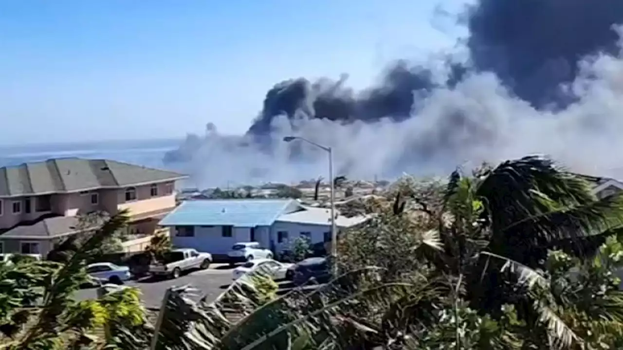 People Flee Maui Wildfires by Jumping into the Ocean as Hospitals Overwhelmed and 911 Cut Off