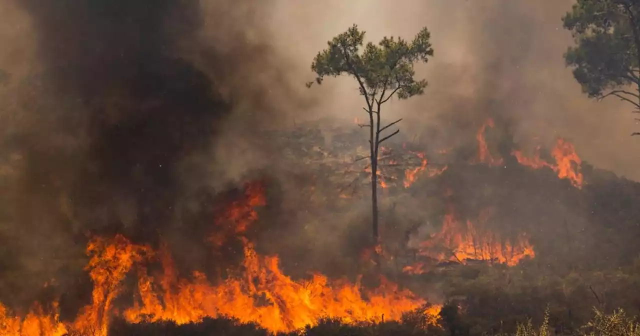 July officially hottest month on record following deadly heatwaves