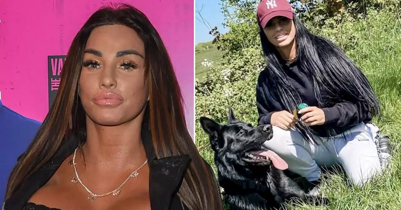 Katie Price 'adopts another dog' despite petition and deaths of previous pets