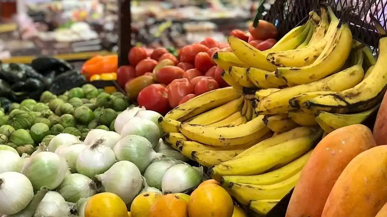 Se actualizaron los precios de la canasta de frutas y verduras: los nuevos valores