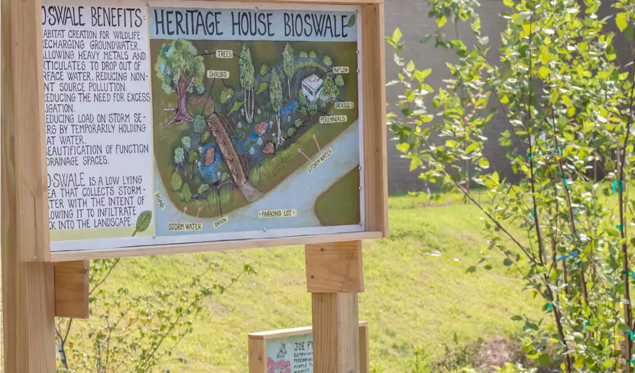 Africatown Heritage House rain garden transformed into an environmental education laboratory