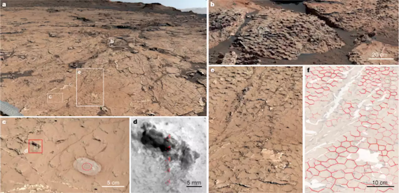 Sustained wet-dry cycling on early Mars