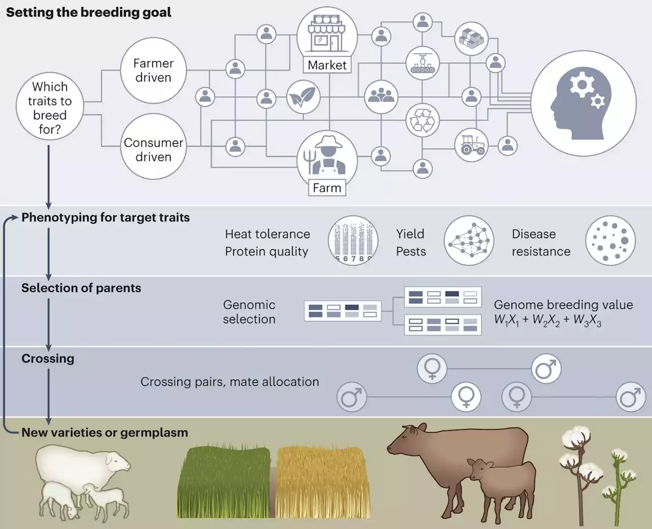 Advancing artificial intelligence for sustainable food production