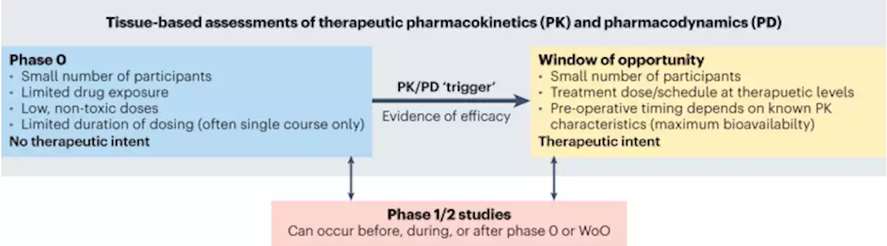 Correcting the drug development paradigm for glioblastoma requires serial tissue sampling