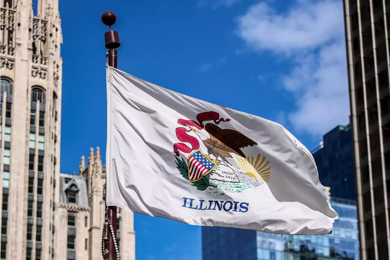 A new Illinois flag? Here's why proponents want to change the banner