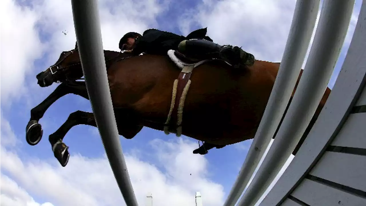 Third horse dies at Del Mar Racetrack in 2023 summer season