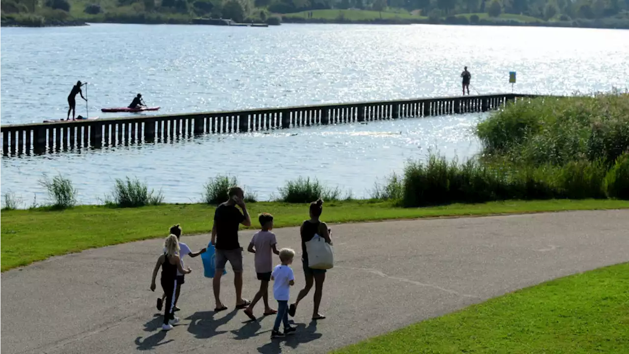 Blauwalg bedreigt zwemmers Toolenburgerplas, Grote Strand nog veilig