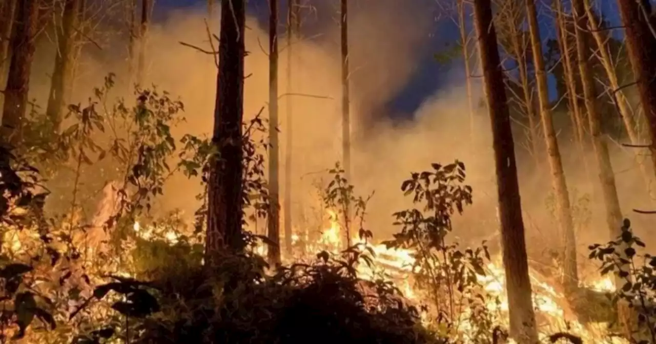 En Cauca, provocan incendios y destrozos en medio de exigencia de tierras por parte de indígenas