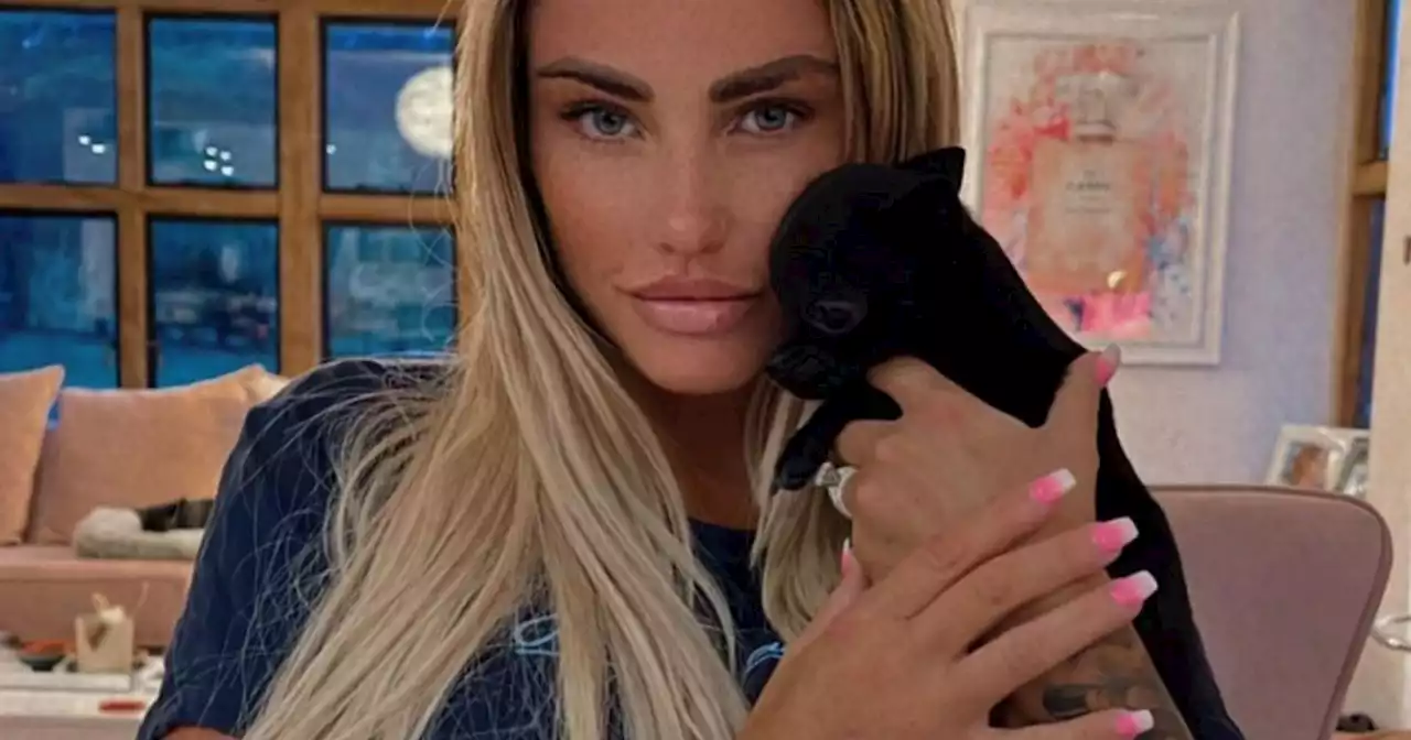 Katie Price buys new puppy after deaths of seven other pets