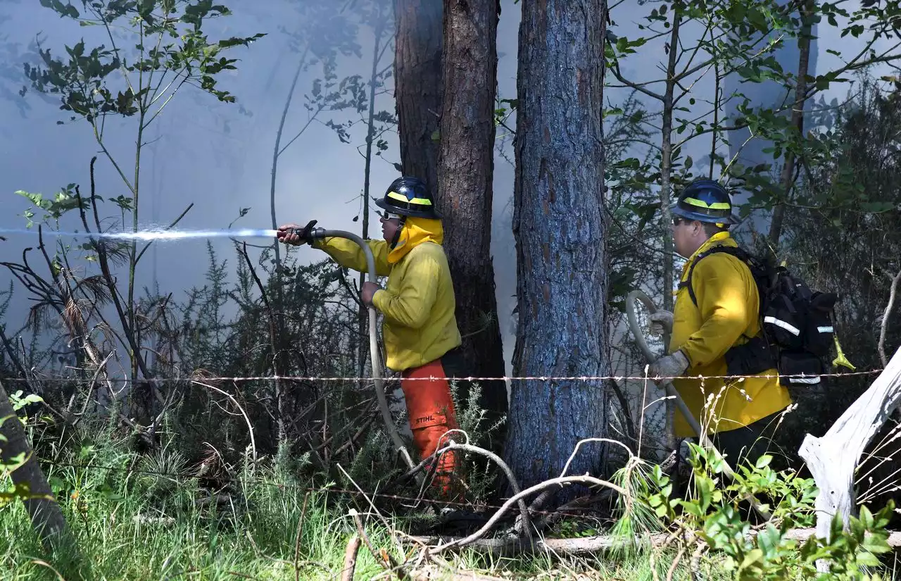 People jump into ocean to escape Hawaiian wildfires