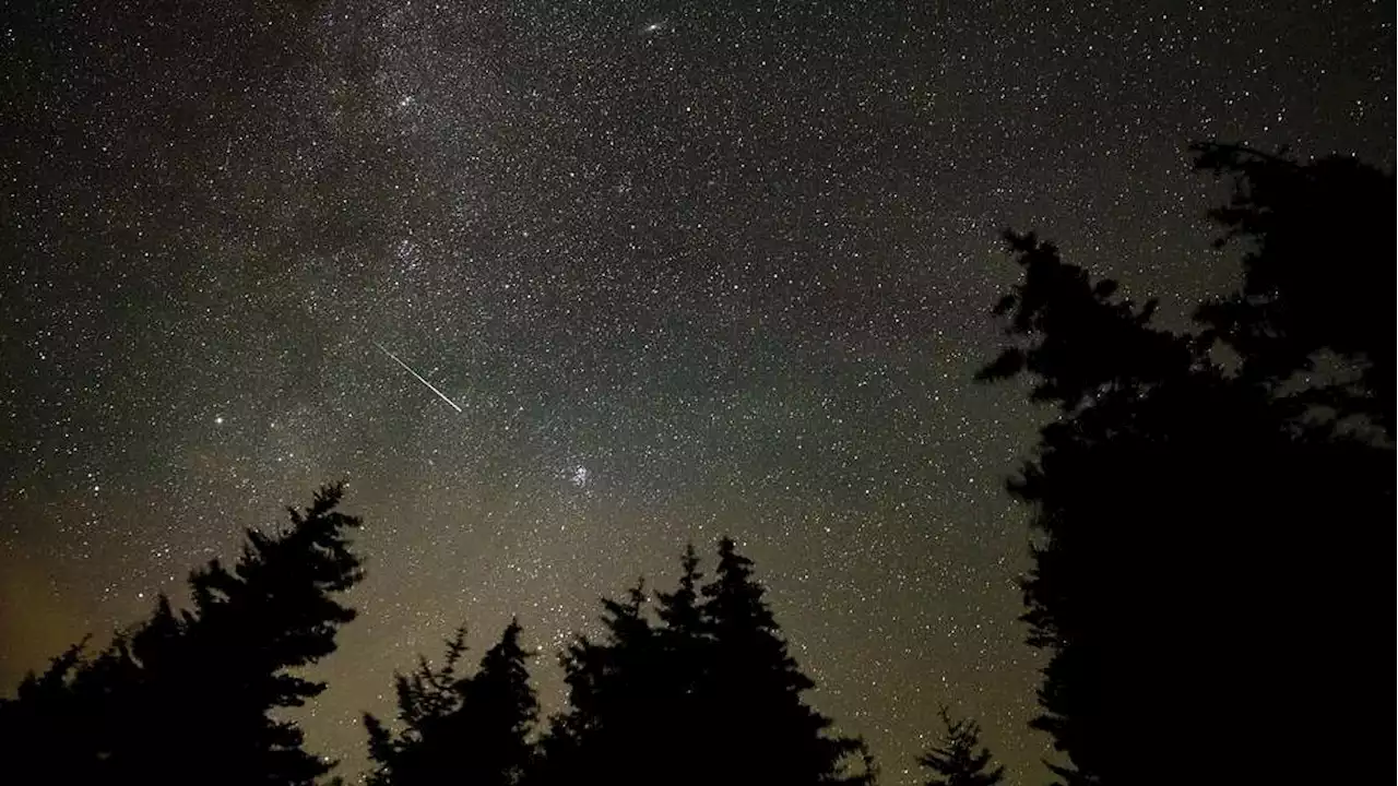 Notte di San Lorenzo, fino a cento stelle cadenti ogni ora. Ecco come osservarle e fotografarle