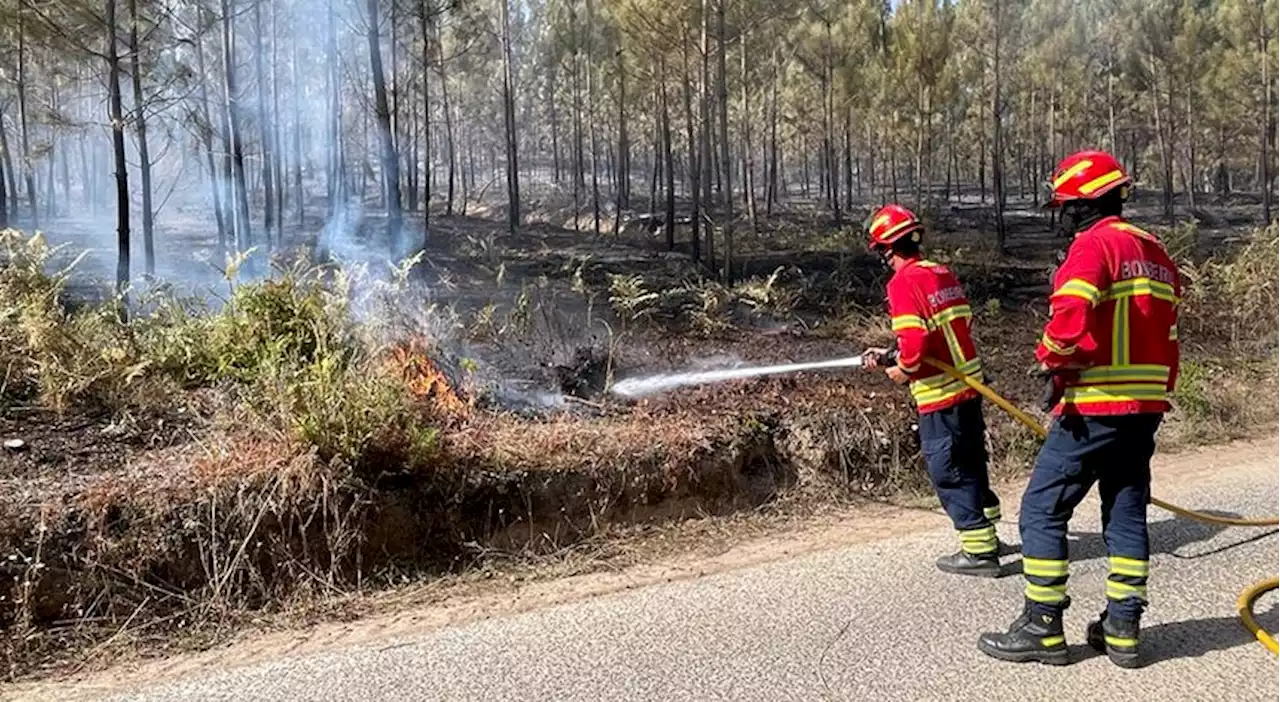 Interior Norte e Centro continua em perigo máximo de incêndio