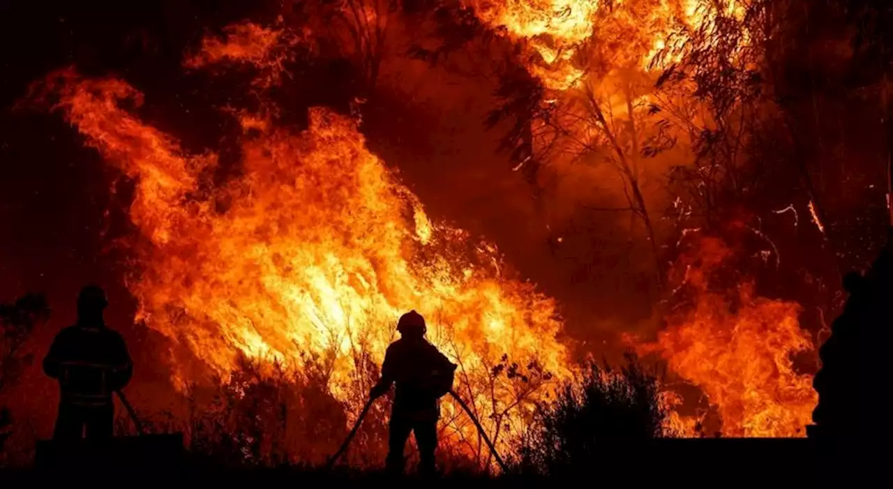 Vento ainda complica incêndio em Odemira