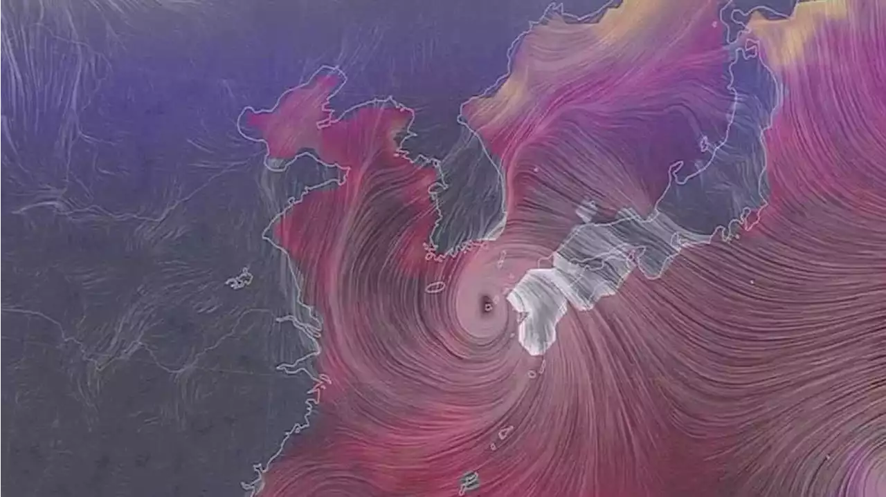 350km까지 몸집 키운 카눈…오늘 종일 서울∼부산 휩쓴다