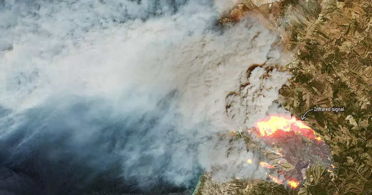 Incêndio em Odemira: mais de 30 pessoas assistidas, oito foram hospitalizadas