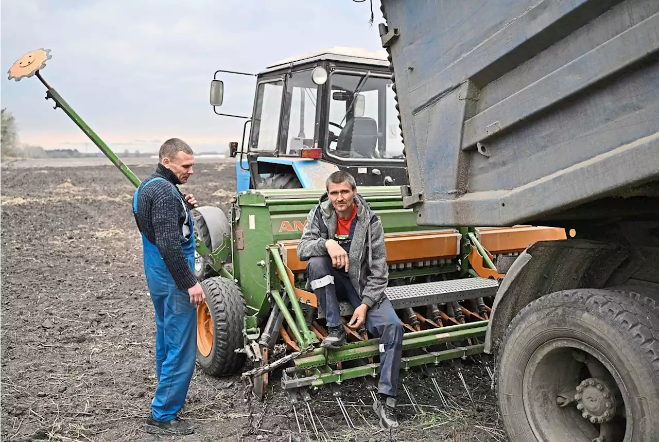 How does central Europe’s ban impact Ukrainian grain exports?