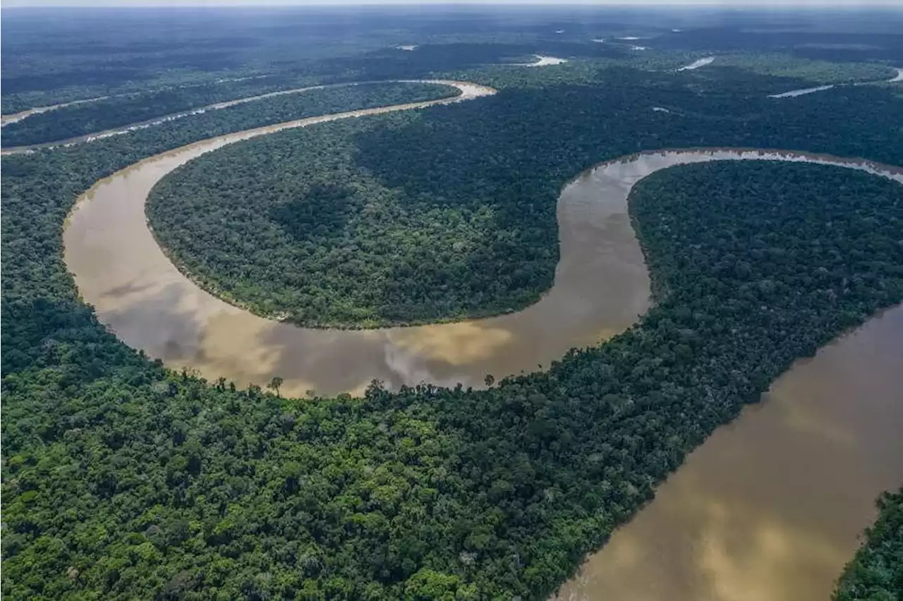 Amazon countries, led by Brazil, sign a rainforest pact