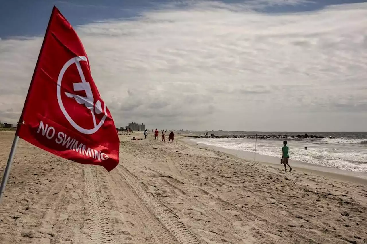 Woman bitten by shark in first New York City attack in years