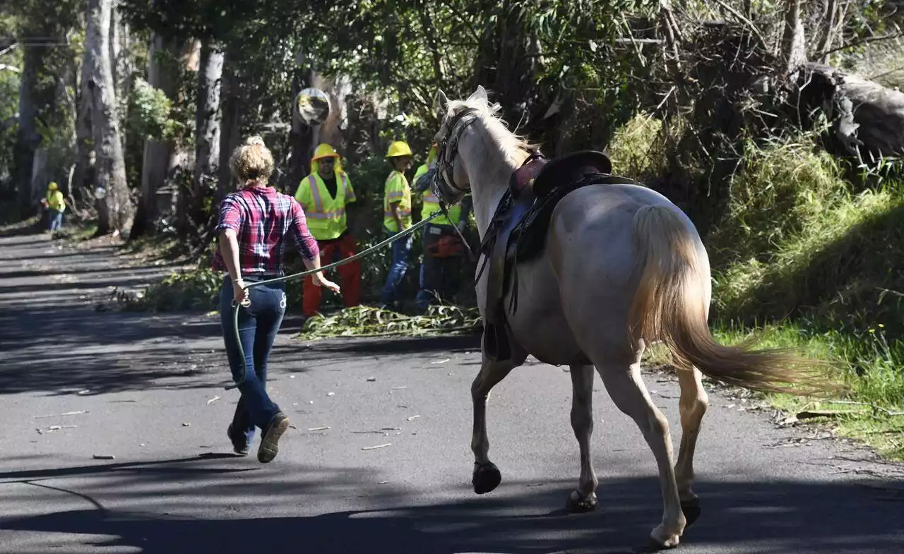 People flee into ocean to escape wildfires at popular Hawaii tourist town - Terrace Standard