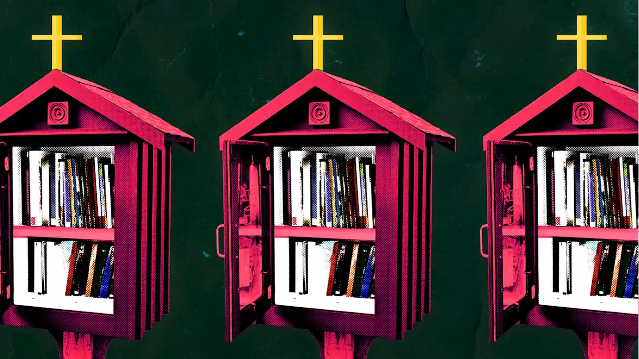 GOP Lawmaker’s Wife Makes Little Free Libraries a Culture War Battleground