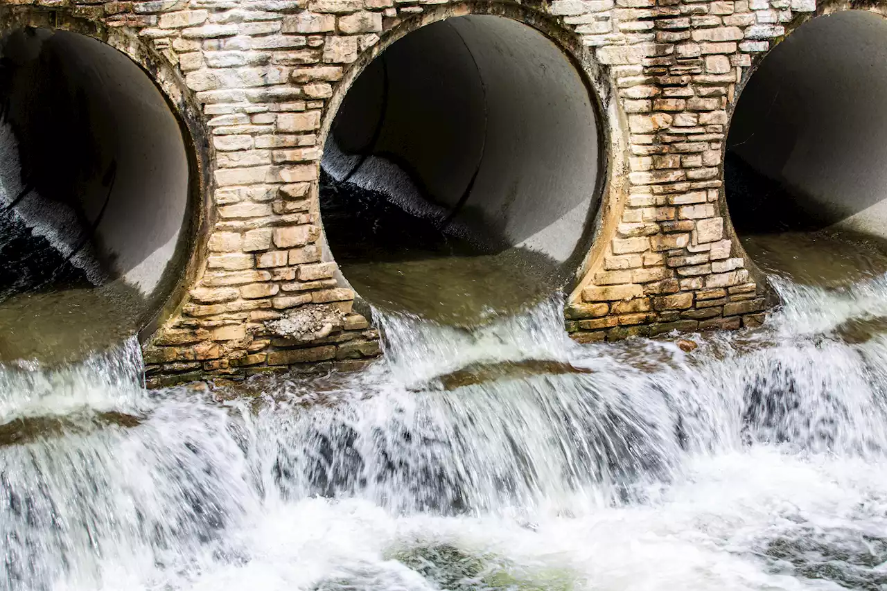 Water companies face legal action over claims of sewage pollution and overcharging