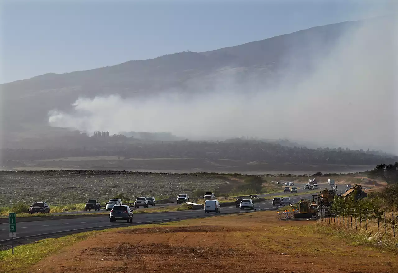 People Flee to the Ocean to Escape Maui Wildfire