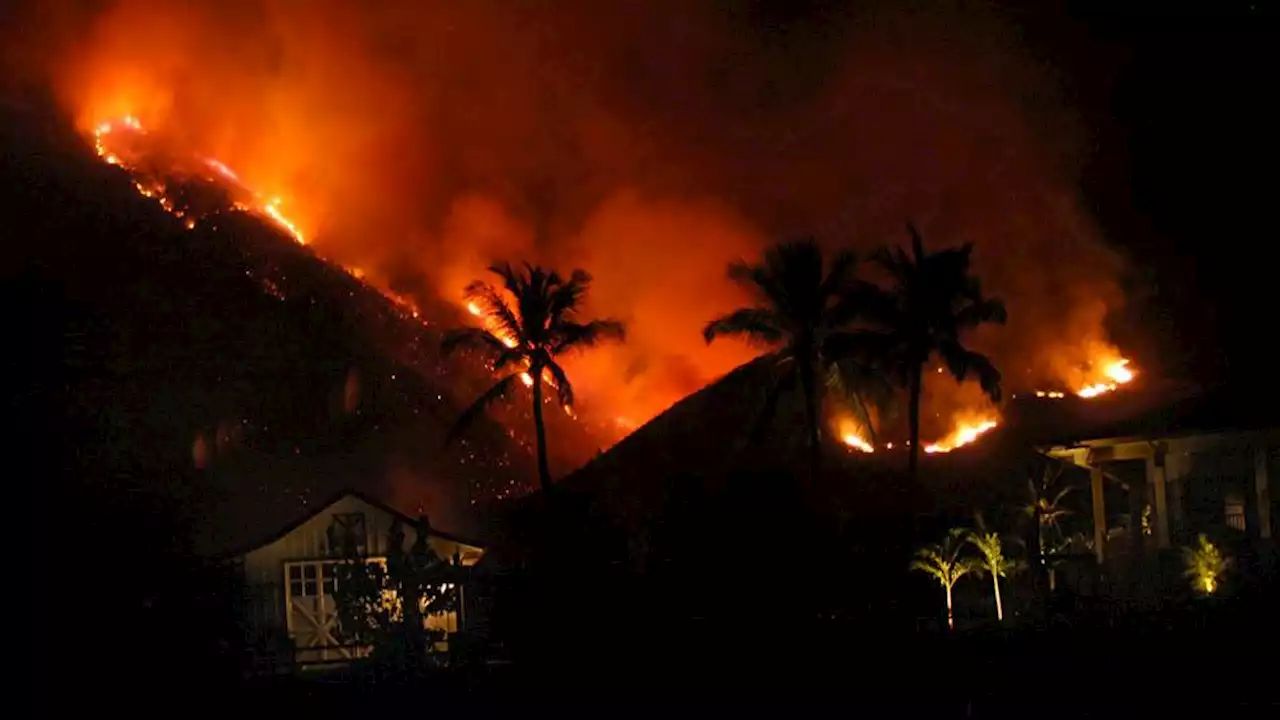 Wildfires in Hawaii's popular tourist town force people to flee into ocean