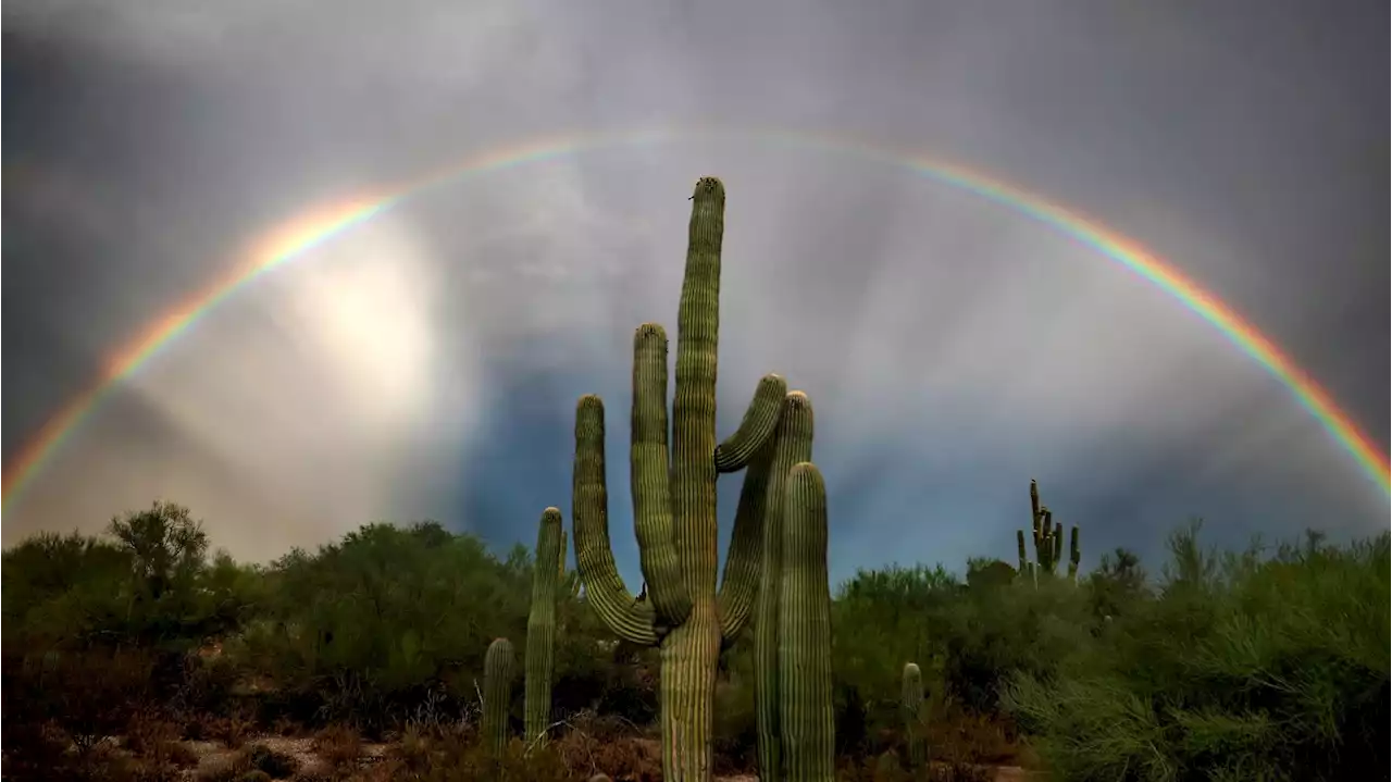 Photos: Tucson's 2023 Monsoon