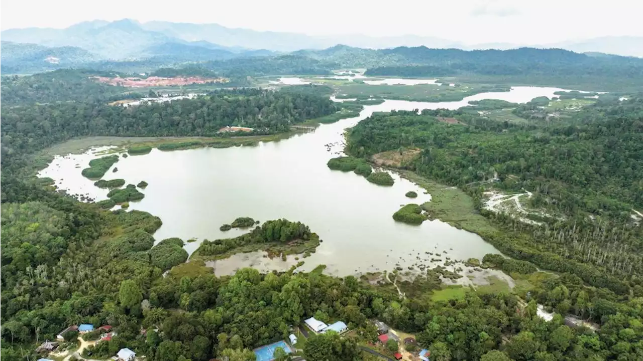 Kerajaan Pusat perlu bantu pulih Tasik Chini