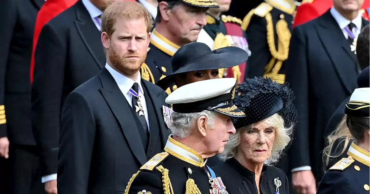 Royal Family Removes HRH Title From Prince Harry’s Bio