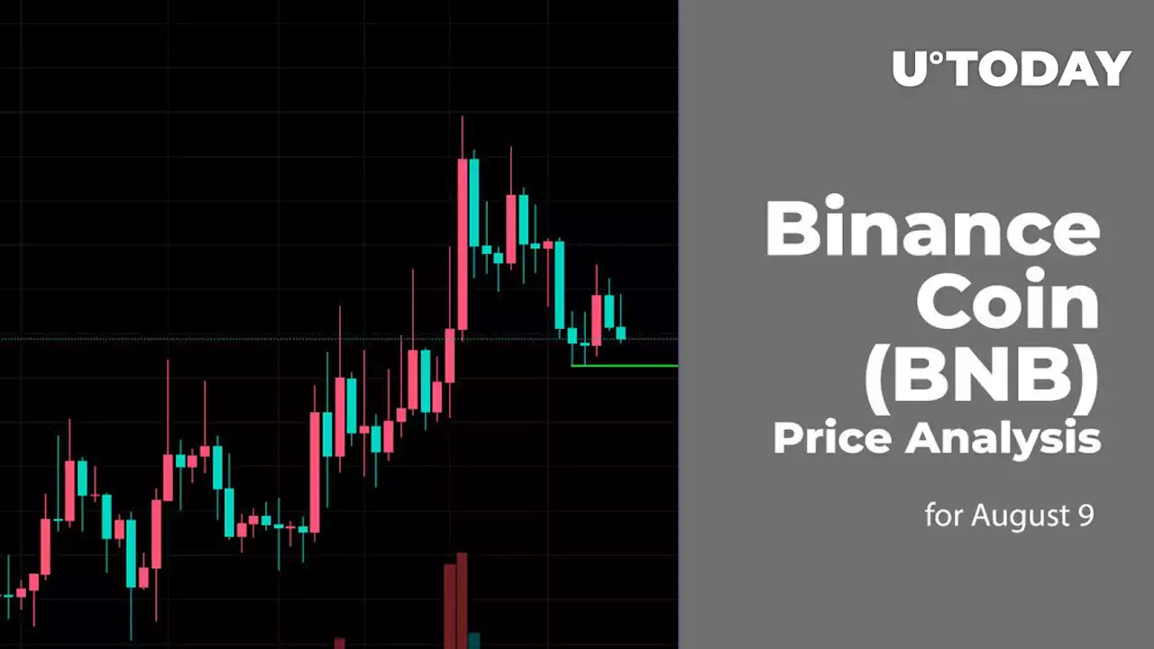 Binance Coin (BNB) Price Analysis for August 9