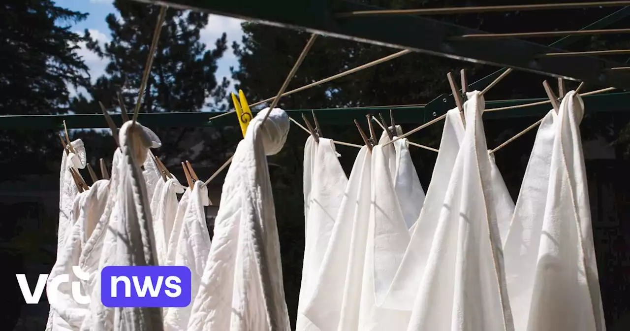 Mysteries van Vlaanderen: blauwsel en het geheim van een witte was