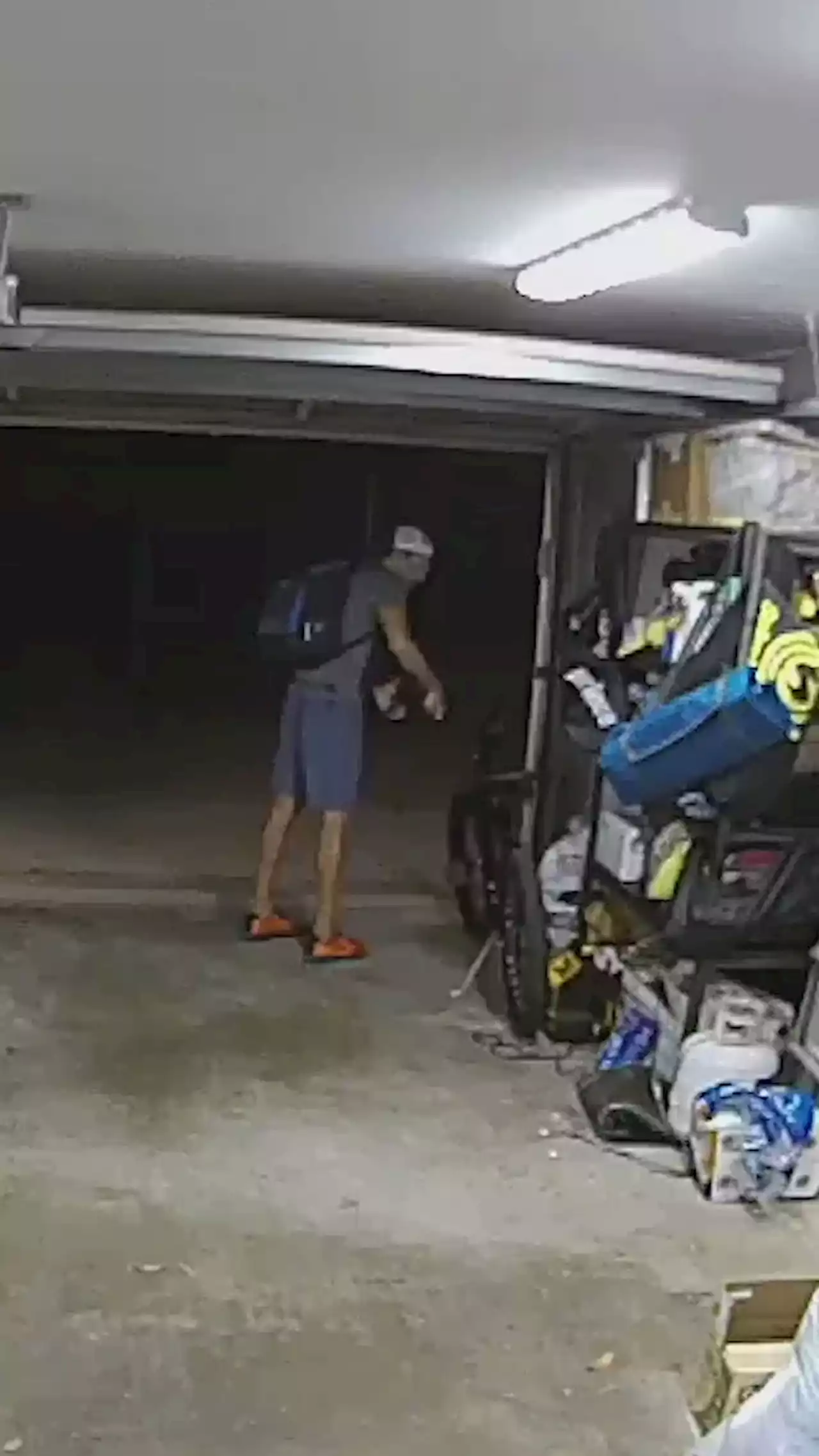 Video shows burglar pausing to cuddle dog before stealing bike