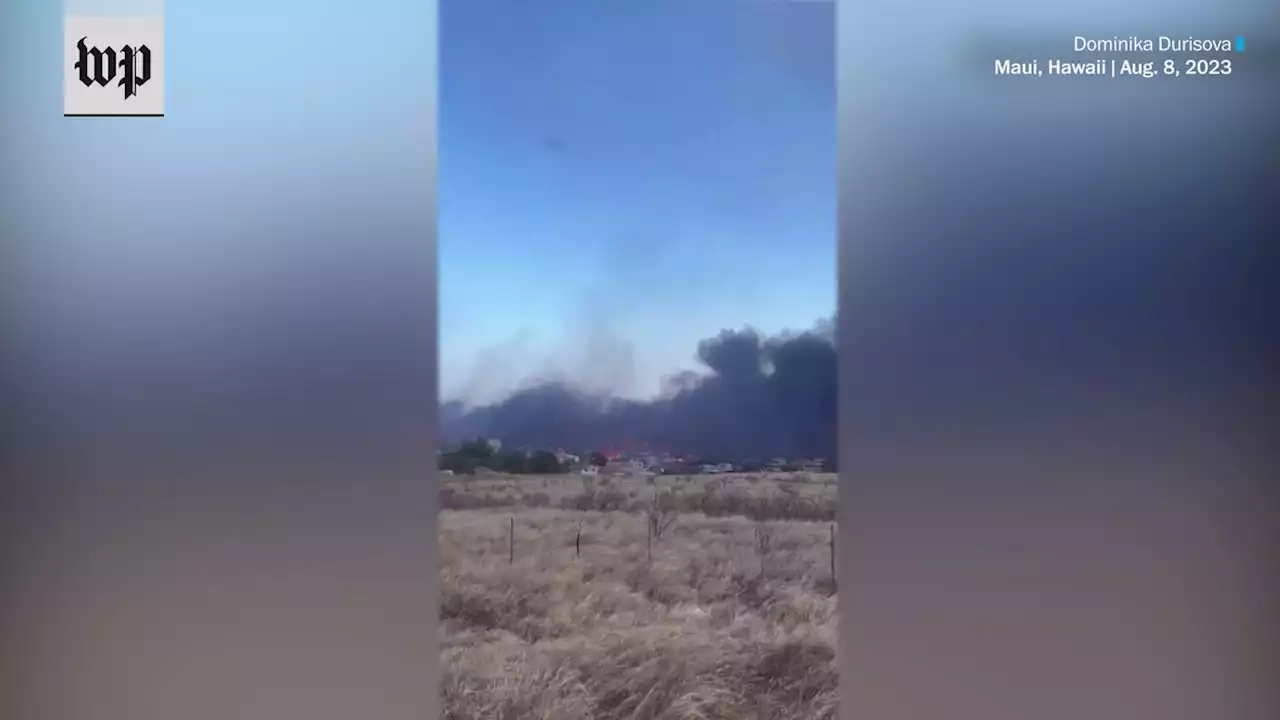 Raging wildfires in Hawaii force people into the ocean