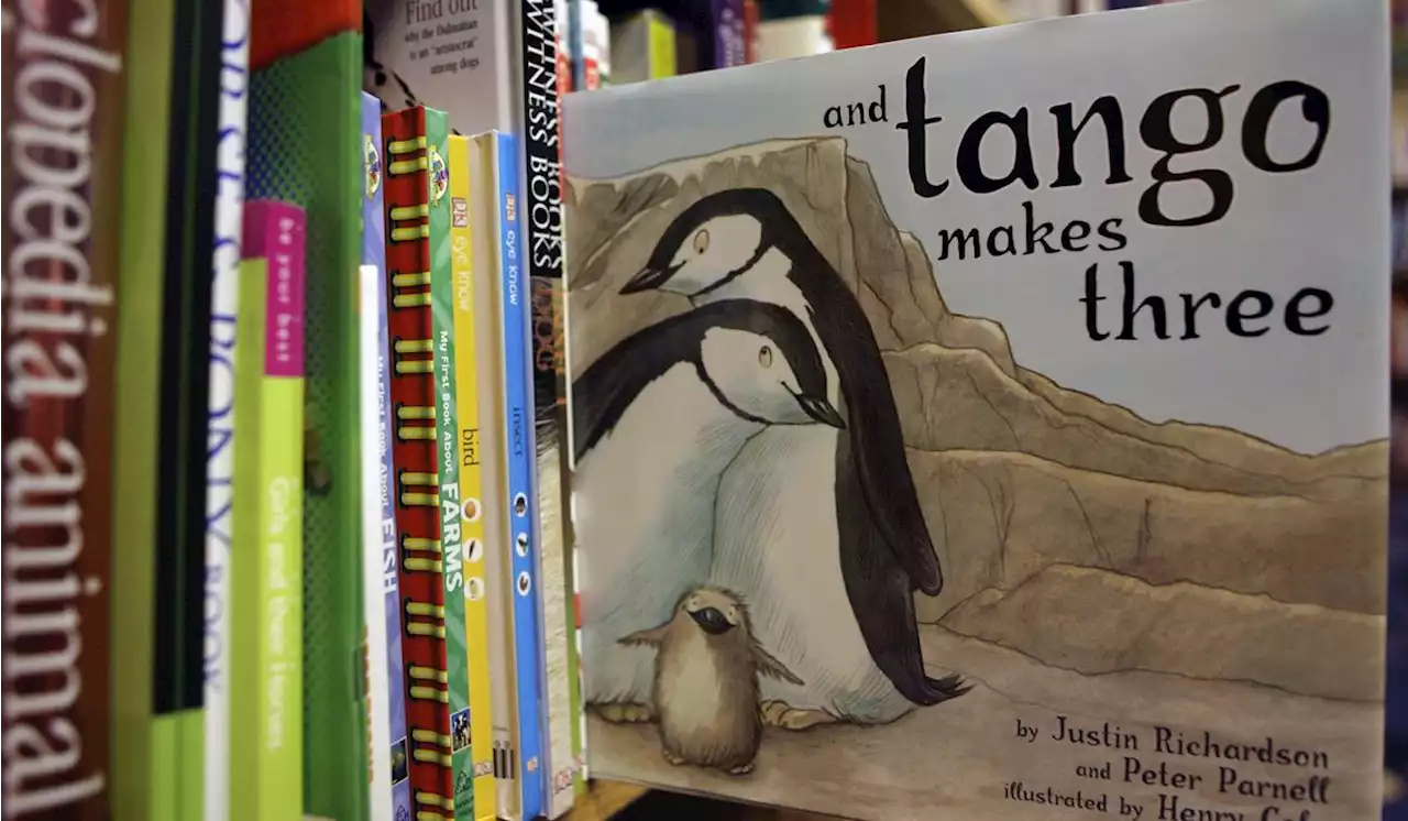 Florida School Board Reverses Decision, Allows Access to Children's Book on 'Gay' Penguins