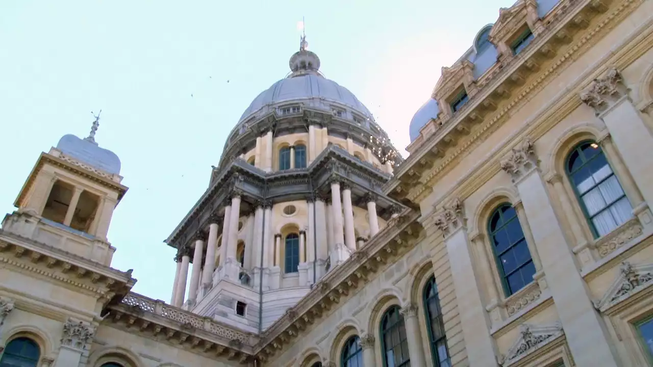 Illinois Lawmakers Look to Address Domestic Violence Rise With Laws to Help Survivors