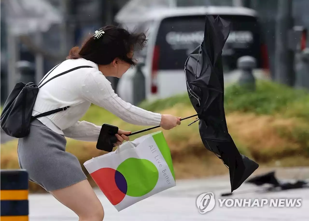 태풍 카눈, 서귀포 300㎞ 안쪽까지 북상…세력 강해져 | 연합뉴스