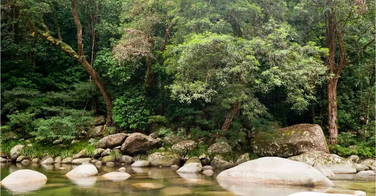 Police find further human remains at popular Queensland tourist spot