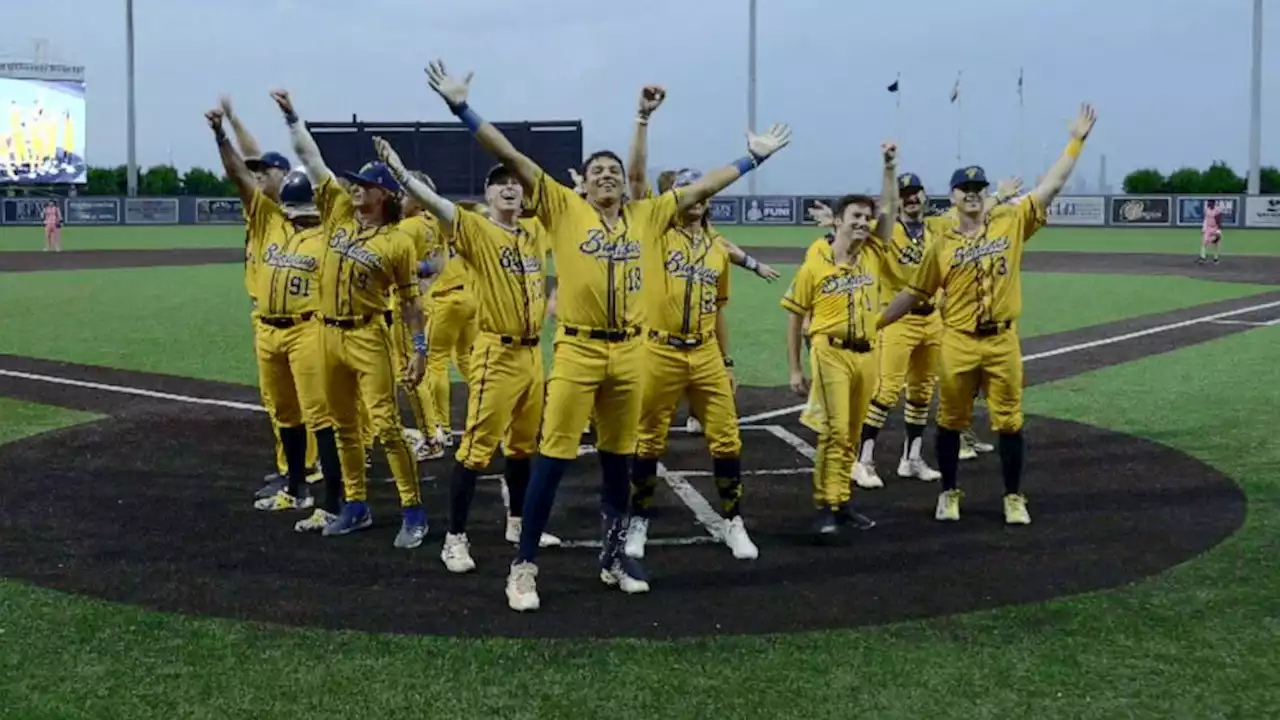 How the Savannah Bananas baseball team is creating 'the greatest show in sports'