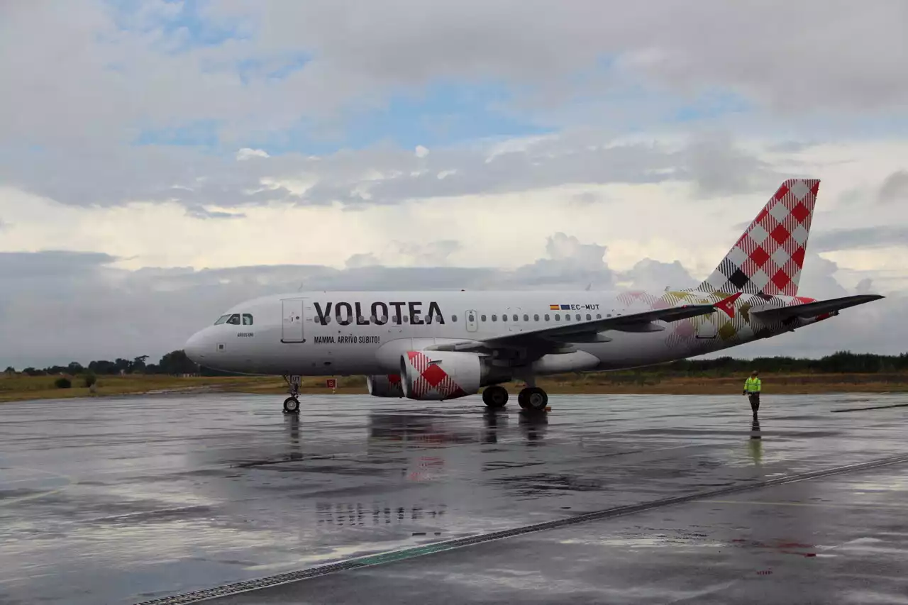 Des goélands percutent l'avion : décollage retardé à l'aéroport de Caen