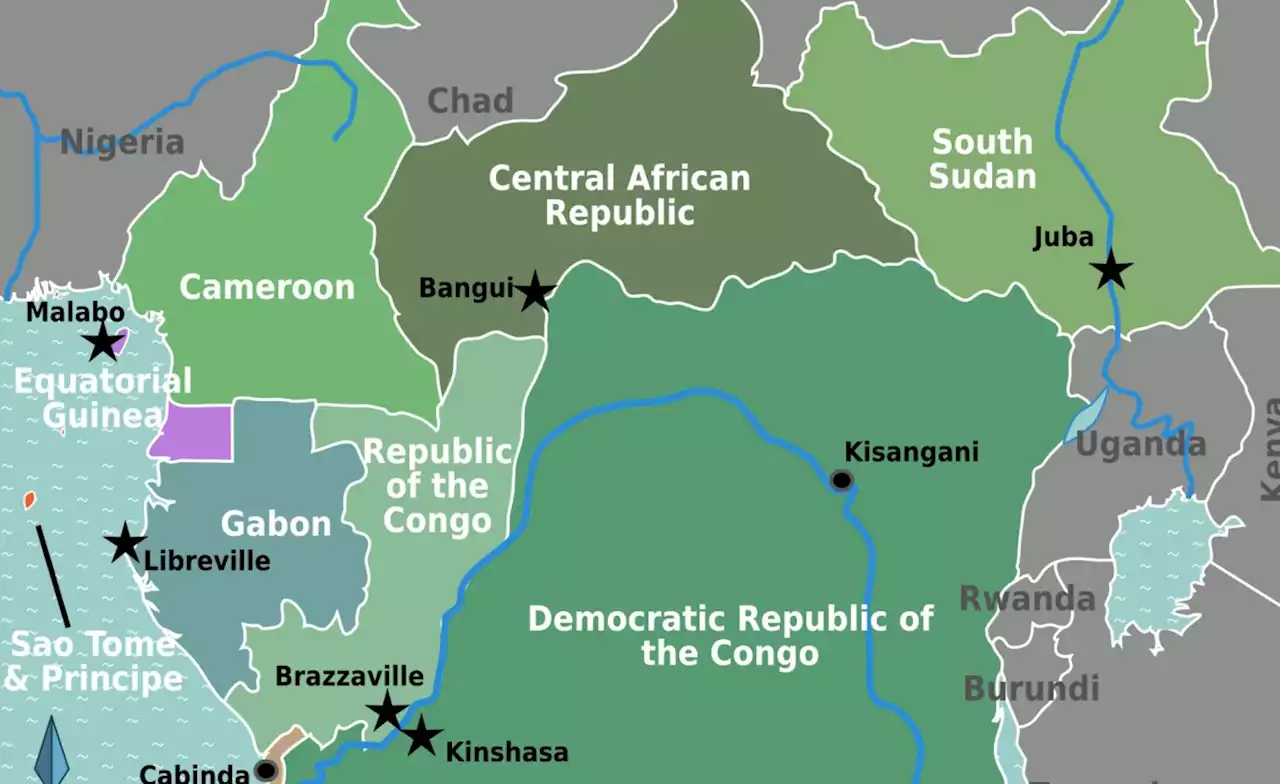 Central Africa: Gabon Coup Ignites Debate On Central Africa's Long Serving Leaders