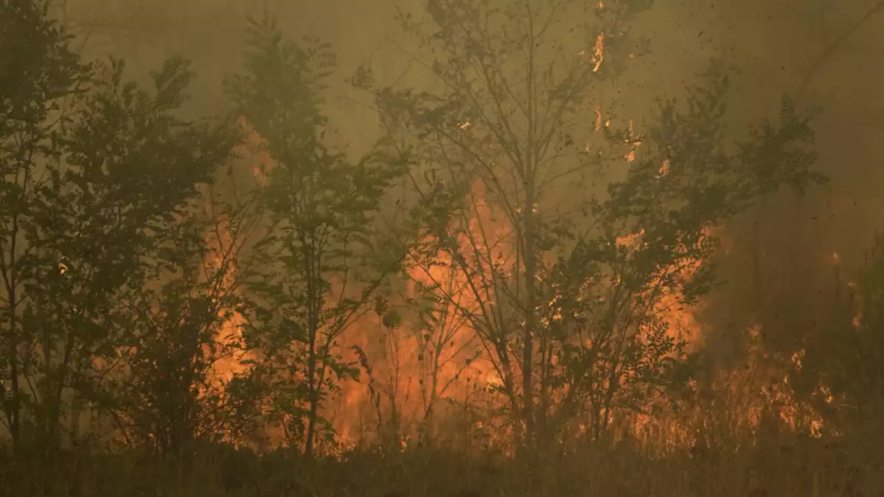 Greece: Firefighters rescue 25 migrants trapped in forest as massive wildfire approached