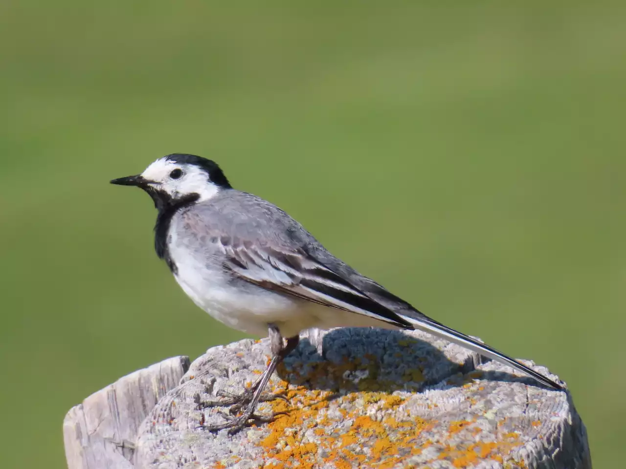 – Neun Posten mit Rätseln und Infos zu Umwelt und Natur