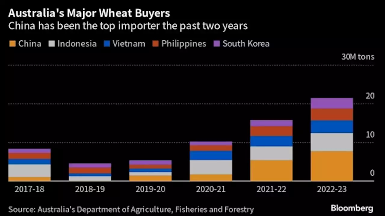 Australia Set to Reduce Wheat Forecast on Drier, Hotter Conditions