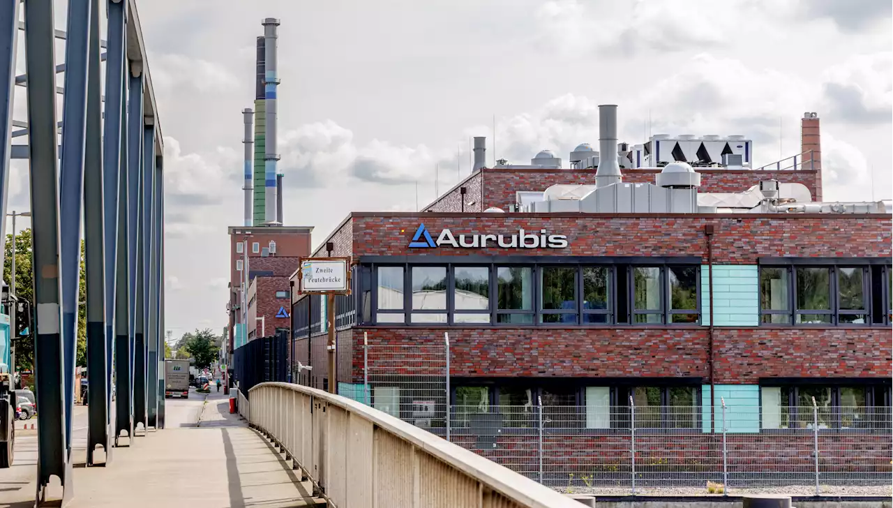 Aurubis kappt Prognose wegen Metallbetrugs