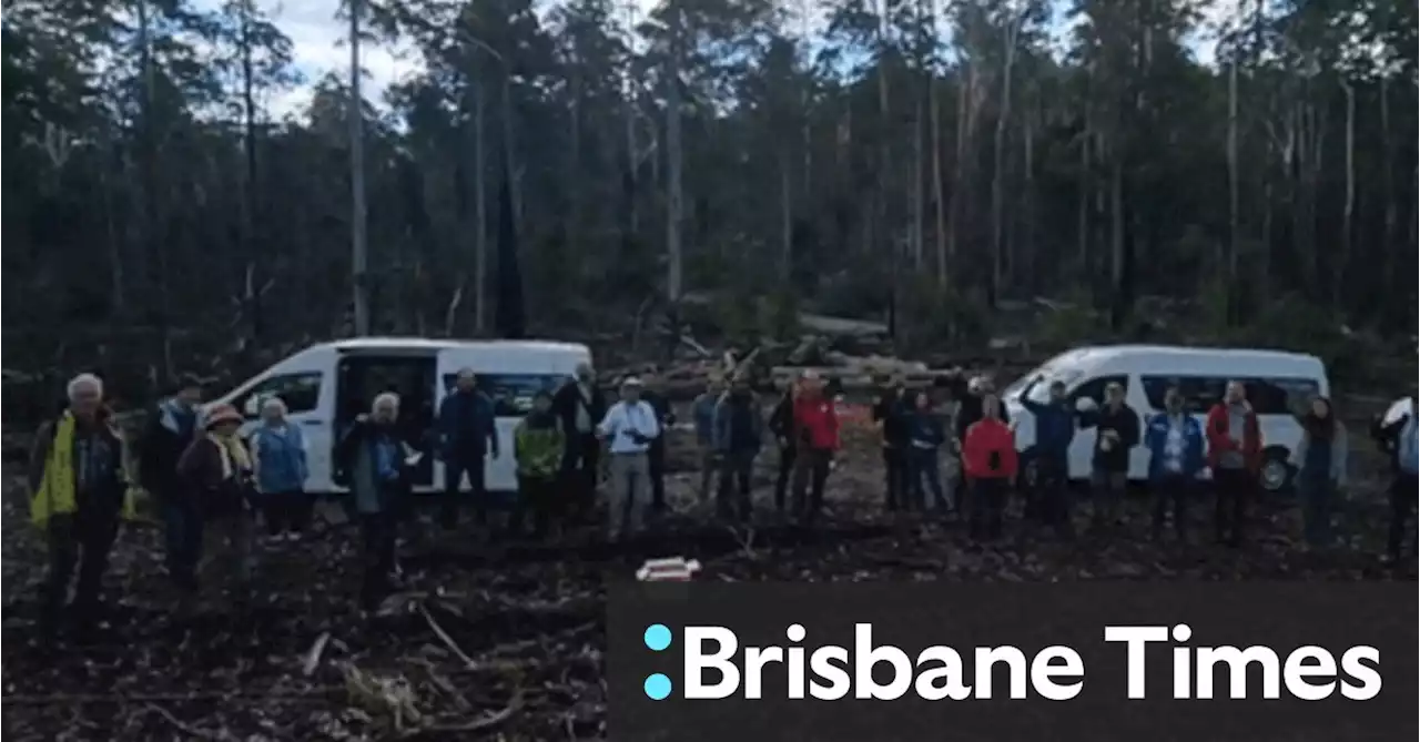 ‘Minds were blown’: These scientists were stunned at what’s happening on the NSW North Coast