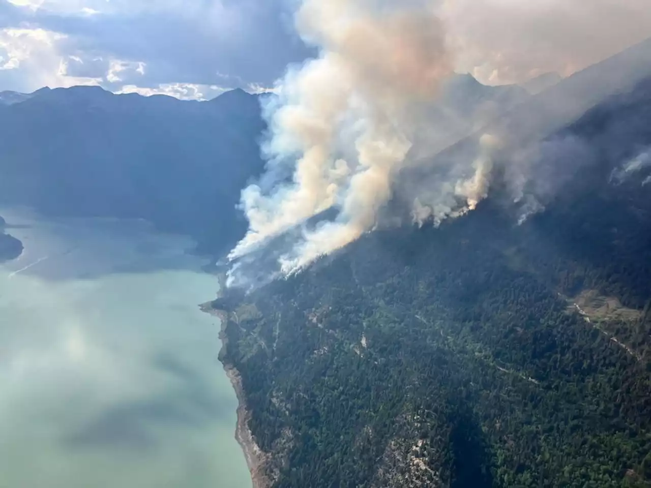 ’Persistent’ bears force 160 firefighters to pull out of B.C. bush camp